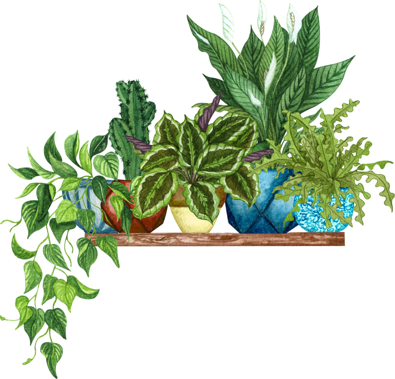 Watercolor Houseplants on a Shelf