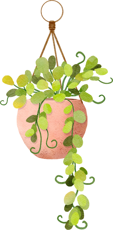 Watercolor hand painted plant in hanging pots