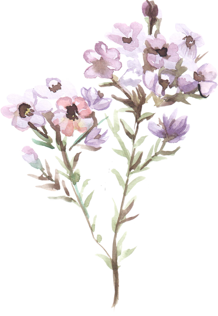 Watercolor Flowering Plant