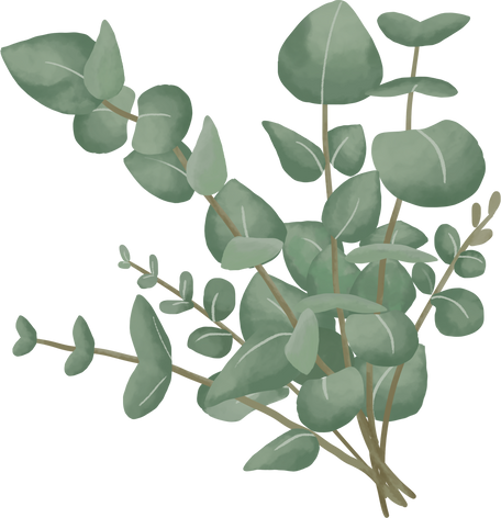 Watercolor Eucalyptus Plant